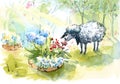 Cute Sheep Smelling Garden Flowers Watercolor Summer Garden Illustration Hand Painted Royalty Free Stock Photo