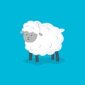 A cute sheep stands and looks. Vector flat illustration.