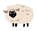 Cute Sheep with Wooly Coat as Farm Animal Vector Illustration