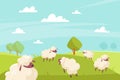 Cute sheeps grazing. Green meadows and blue sky, countryside summer sunny landscape, farm animals outdoors. Cute fluffy
