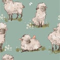 Cute sheeps seamless pattern