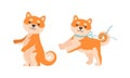 Cute Shiba Inu Dog Activities Set, Lovely Akita Inu Puppy Cartoon Vector Illustration