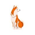 Cute Shiba Inu Dog, Adorable Japan Fluffy Pet Animal Vector Illustration
