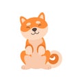 Cute Shiba Inu Dog Sitting, Adorable Funny Japan Pet Animal Cartoon Character Vector Illustration