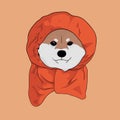 Cute Shiba on orange hoody Royalty Free Stock Photo