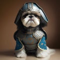 Cute shih tzu puppy dressed as a medieval knight.