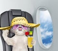 Cute shitzu dog on board of airplain with juice