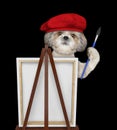Cute shitzu dog is a painter artist. Isolated on black Royalty Free Stock Photo