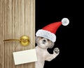 Cute shitzu dog in red christmas santa claus hat looking out the door entrance at home with empty card. Isolated on Royalty Free Stock Photo