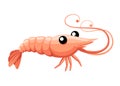 Cute shrimp. Cartoon animal character design. Swimming crustaceans. Flat vector illustration isolated on white background Royalty Free Stock Photo