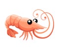 Cute shrimp. Cartoon animal character design. Swimming crustaceans. Flat vector illustration isolated on white background Royalty Free Stock Photo