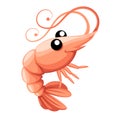 Cute shrimp. Cartoon animal character design. Swimming crustaceans. Flat vector illustration isolated on white background Royalty Free Stock Photo