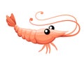 Cute shrimp. Cartoon animal character design. Swimming crustaceans. Flat vector illustration isolated on white background Royalty Free Stock Photo