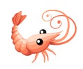 Cute shrimp. Cartoon animal character design. Swimming crustaceans. Flat vector illustration isolated on white background Royalty Free Stock Photo