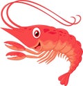 Cute shrimp cartoon Royalty Free Stock Photo
