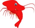 Cute shrimp cartoon Royalty Free Stock Photo