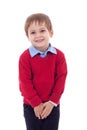 Cute and shy little boy Royalty Free Stock Photo