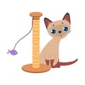 Cute Siamese Cat Sitting Near Scratching Post with Fish Toy Hanging on Rope Vector Illustration Royalty Free Stock Photo