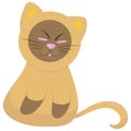 Cute siamese kitten sitting and squinting funny, vector illustration in flat style Royalty Free Stock Photo