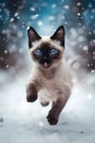 Cute siamese kitten in a snowy winter landscape with falling snow and soft lighting