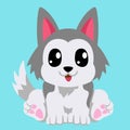 Cute siberian husky or alaskan malamute dog cartoon