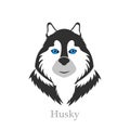 Cute Siberian Husky standing front view dog, vector illustration Royalty Free Stock Photo