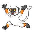 Cute sifaka lemur monkey cartoon running