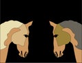 Cute silhouette muzzle purebred Arabian horses in brown