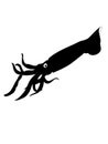 A cute silhouette of a squid with big eyes Royalty Free Stock Photo