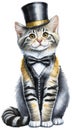 Cute striped skinny tabby kitten dressed in a tuxedo and top hat with silver and gold trim. Royalty Free Stock Photo