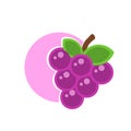 cute simple grape illustration