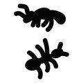 Cute simple stylised ants cartoon vector illustration motif set. Hand drawn garden pest insects blog icons Royalty Free Stock Photo