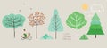 Cute single illustration of spring trees, fir trees, birch, bushes, leaves, woman on bicycle, birds, sun and clouds. Spring walk