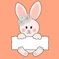 Cute sitting bunny with chamomile wreath with blank banner for your text