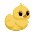 Cute sitting chick. Little cartoon chicken for Easter and second design. Vector illustration Isolated on white Royalty Free Stock Photo