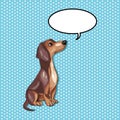 Cute Sitting dachshund dog looking up with speech balloon