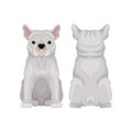 Cute sitting french bulldog, front and back view. Small breed of domestic dog. Human s best friend. Flat vector design