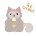 Cute sitting gray cat eating icecream