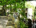 Cute sitting monkey in Sacred Ubud Monkey Forest. Bali, Indonesia