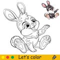 Cute sitting rabbit coloring with colorful template vector Royalty Free Stock Photo