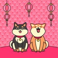 Cute sitting two shiba inu dogs & flashlights vector. Royalty Free Stock Photo