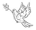 Cute sketch art of flying pigeon with a branch in the beak separeted on the white background