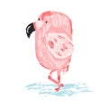Cute sketch hand drawn color flamingo illustration Royalty Free Stock Photo