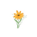 Cute sketch hand drawn color flower illustration