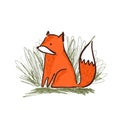 Cute sketch hand drawn orange fox in grass