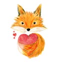 Cute sketch orange watercolor fox illustration