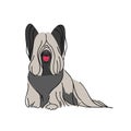 Cute Skye Terrier dog breed. Vector pet illustration isolated on white background Royalty Free Stock Photo