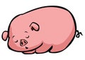 Cute Sleep Pig Color Illustration Design