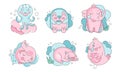 Cute Sleeping Animals and Birds Collection, Lovely Octopus, Elephant, Dragon, Pig Vector Illustration