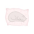 Cute sleeping cat on the pillow. Baby doodle. Cartoon character blue cat, childish illustration. Hand drawn vector Royalty Free Stock Photo